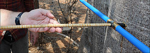 Minimalinvasive Entnahme einer Holzprobe aus einem lebenden Baumstamm mittels eines Zuwachsbohrers (Abbildung: G. Helle / GFZ)